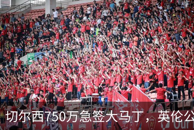 切尔西750万急签大马丁，英伦公敌补全8年门前短板